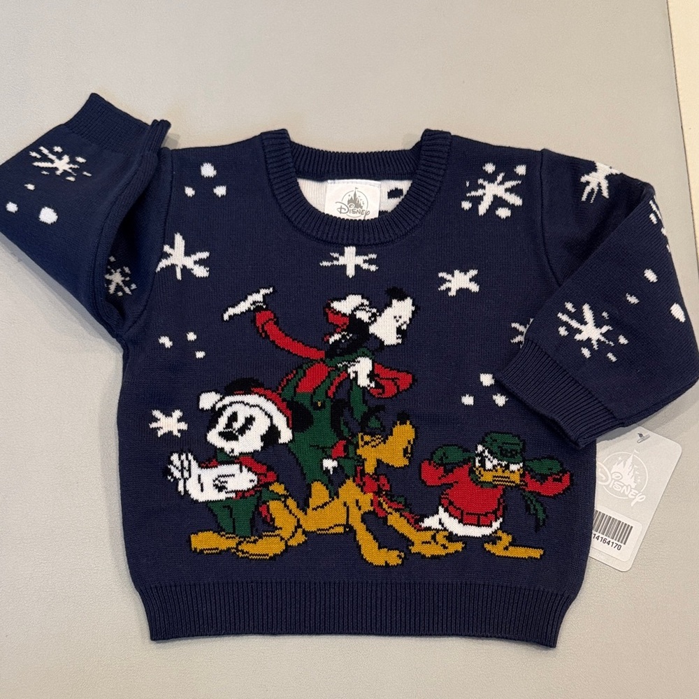 Disney Festive Navy Sweater with Characters